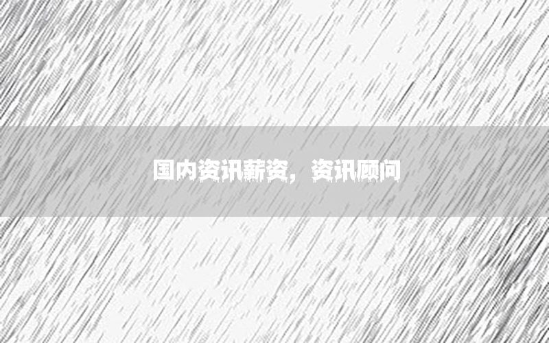 國內資訊薪資，資訊顧問