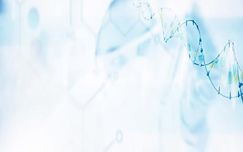 無線財經(jīng)資訊臺賽馬（無線財經(jīng)節(jié)目表）